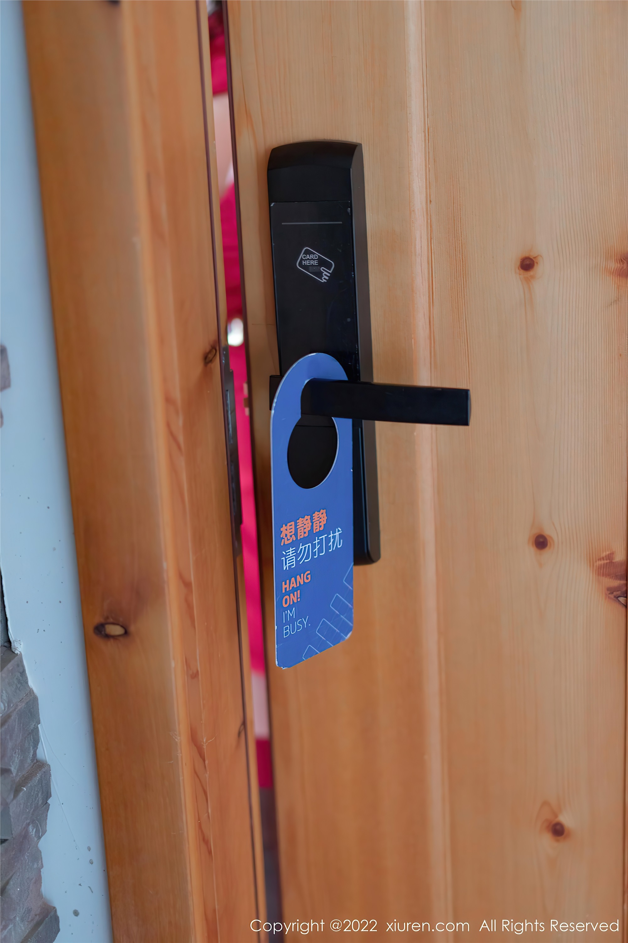 Xiuren秀人网 2022.02.14 NO.4580 允爾